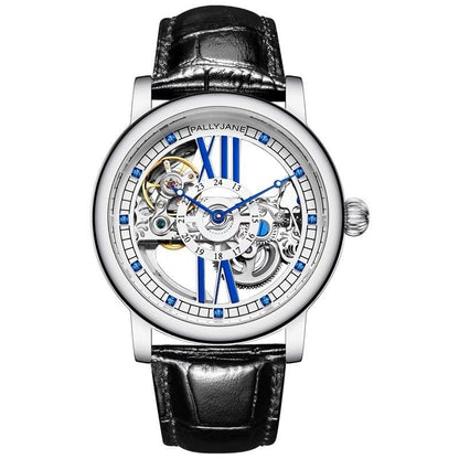 Men’s Automatic Mechanical Watch – Sapphire Crystal Glass, 30M Waterproof - Elysian Bijoux